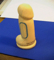 Model penisu s nákresem kam je možné aplikovat injekci 